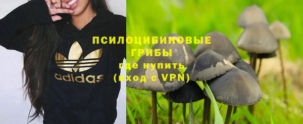 спиды Алзамай